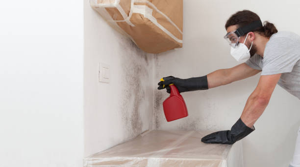 Professional Bathroom Mold Removal technician working in Medford, NJ