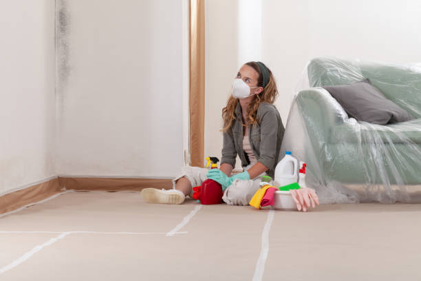 Reliable Bathroom Mold Removal contractor in Medford, NJ by WQB Mold Removal